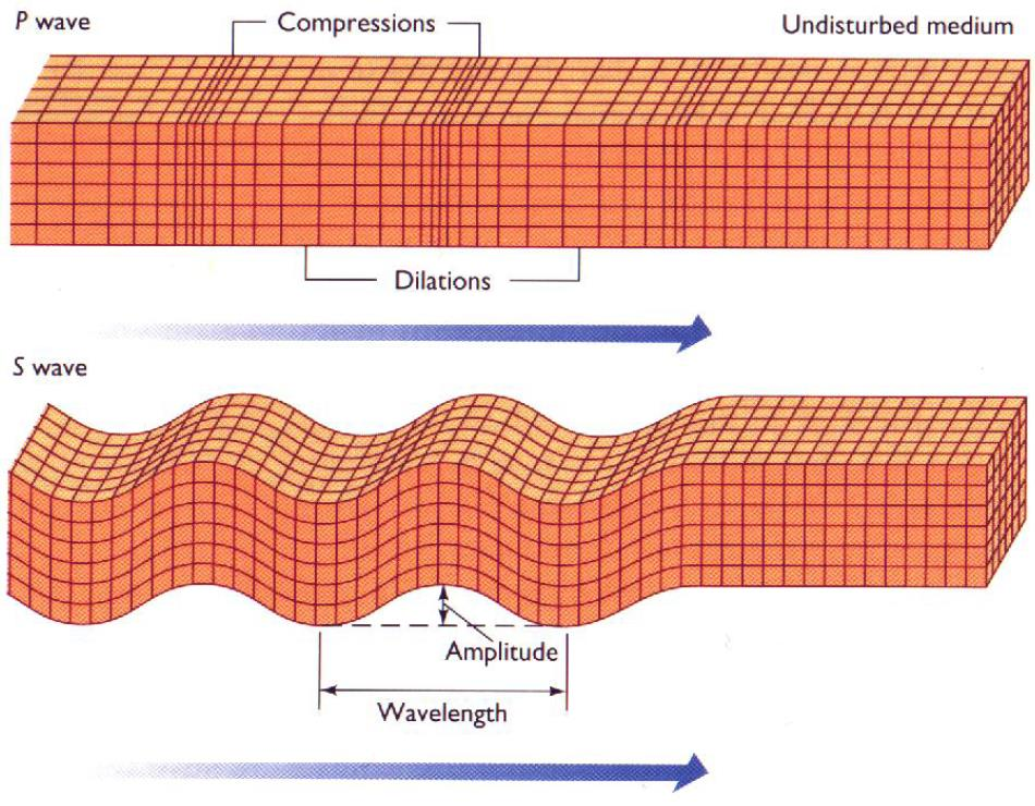 P wave and S wave