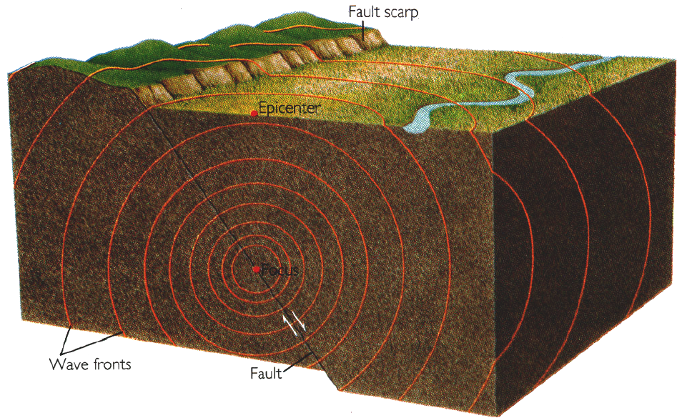 Seismic waves