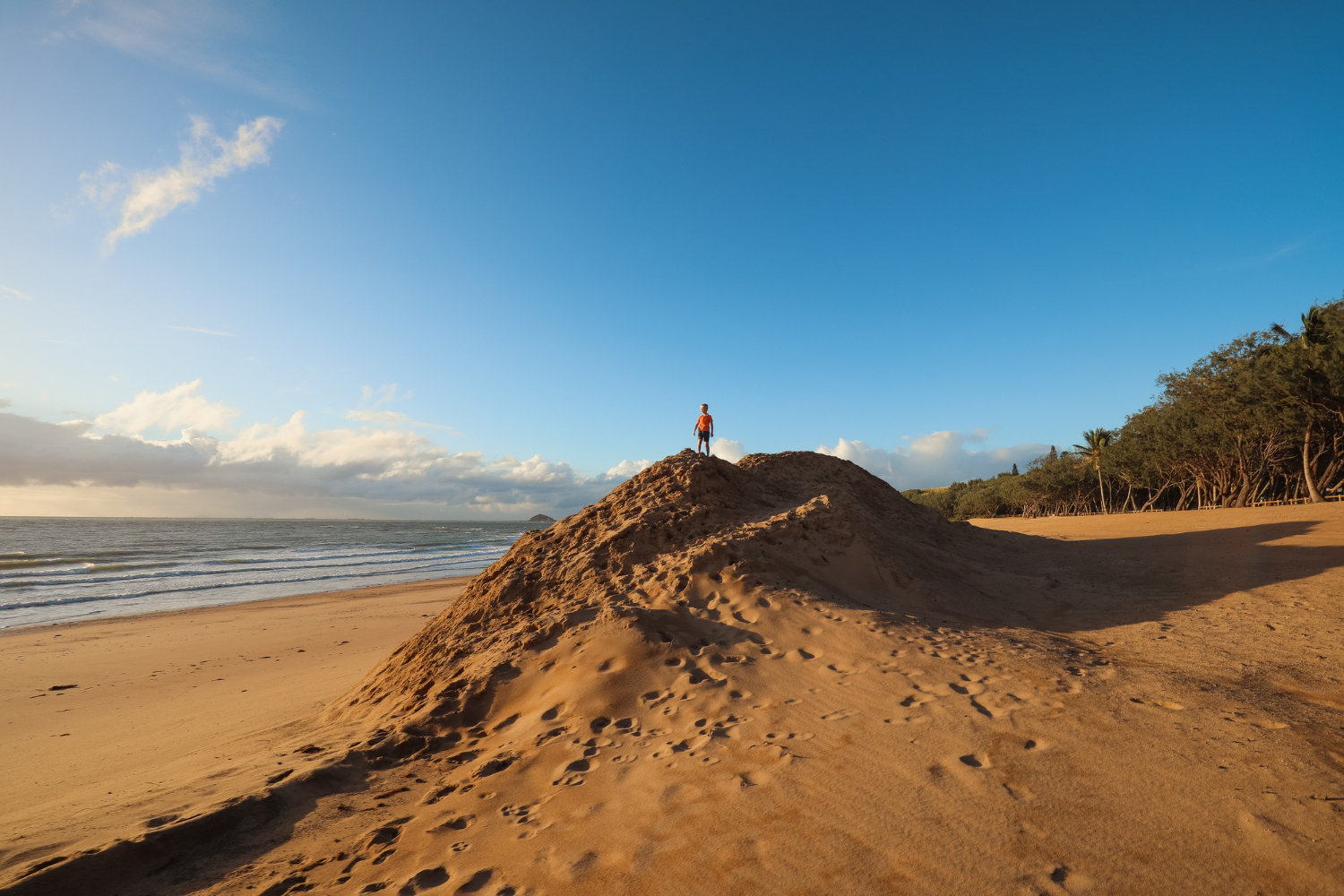 Innovative Erosion Control Techniques in Urban Projects for Sustainability